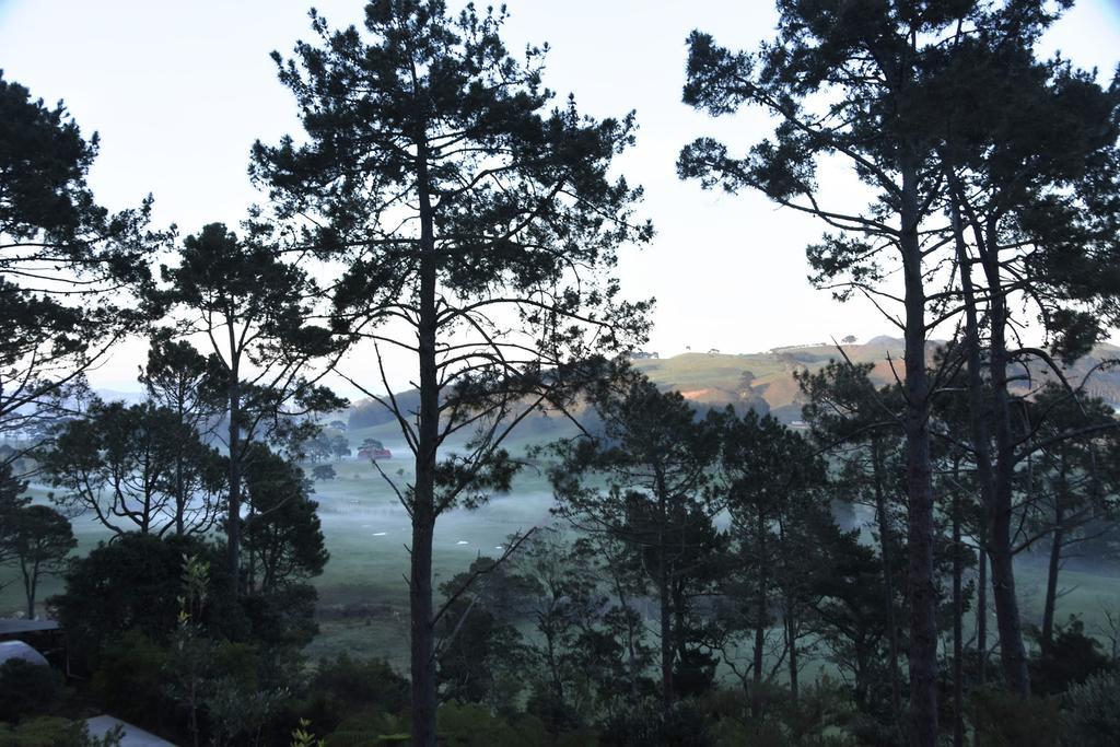 Ponga Eco-Lodge ฮาเฮอิ ภายนอก รูปภาพ